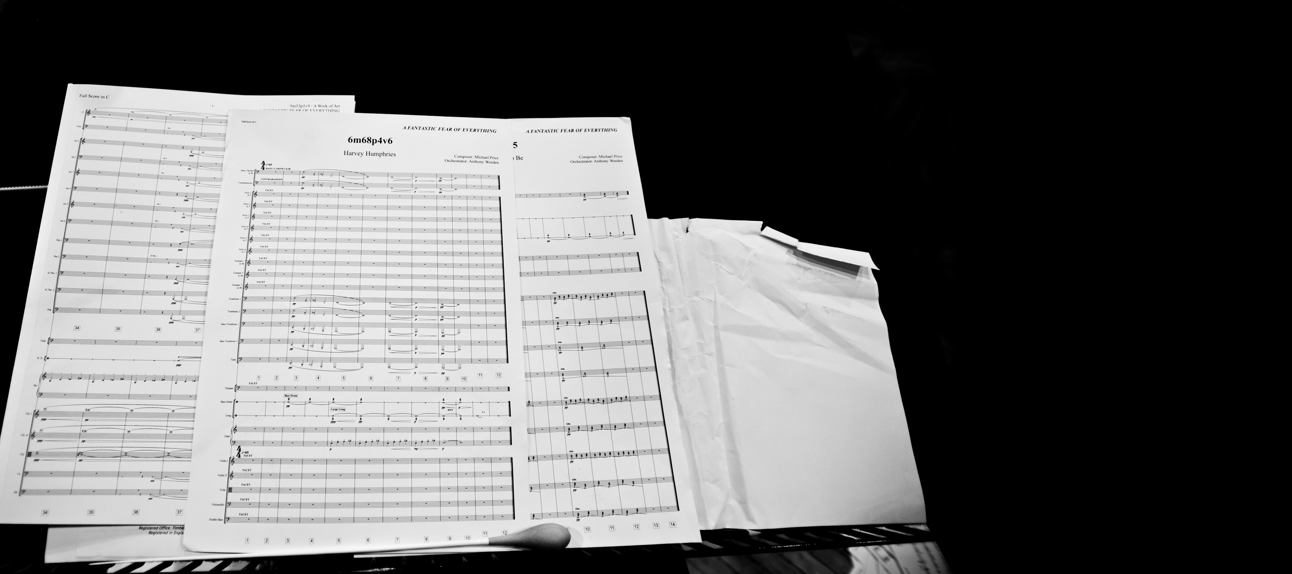 Anthony Weeden - Conductor and Orchestrator